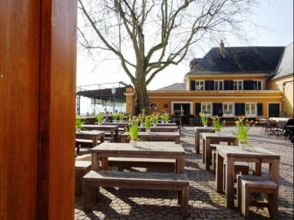 照片: Gutsschänke Schloss Johannisberg