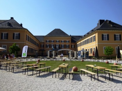 照片: Gutsschänke Schloss Johannisberg